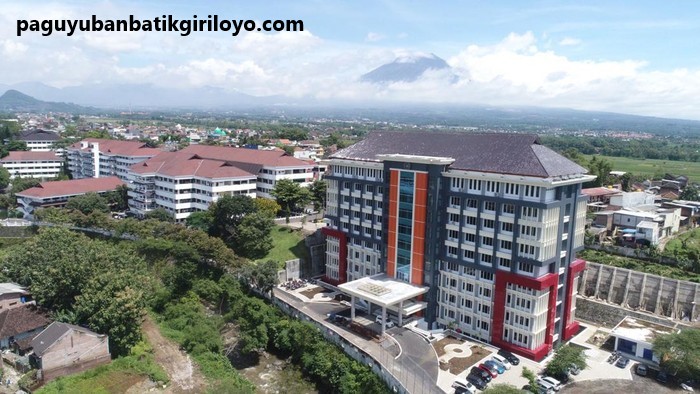 Daftar Universitas Terbaik Di Maluku 2023 Yang Menjadi Favorit